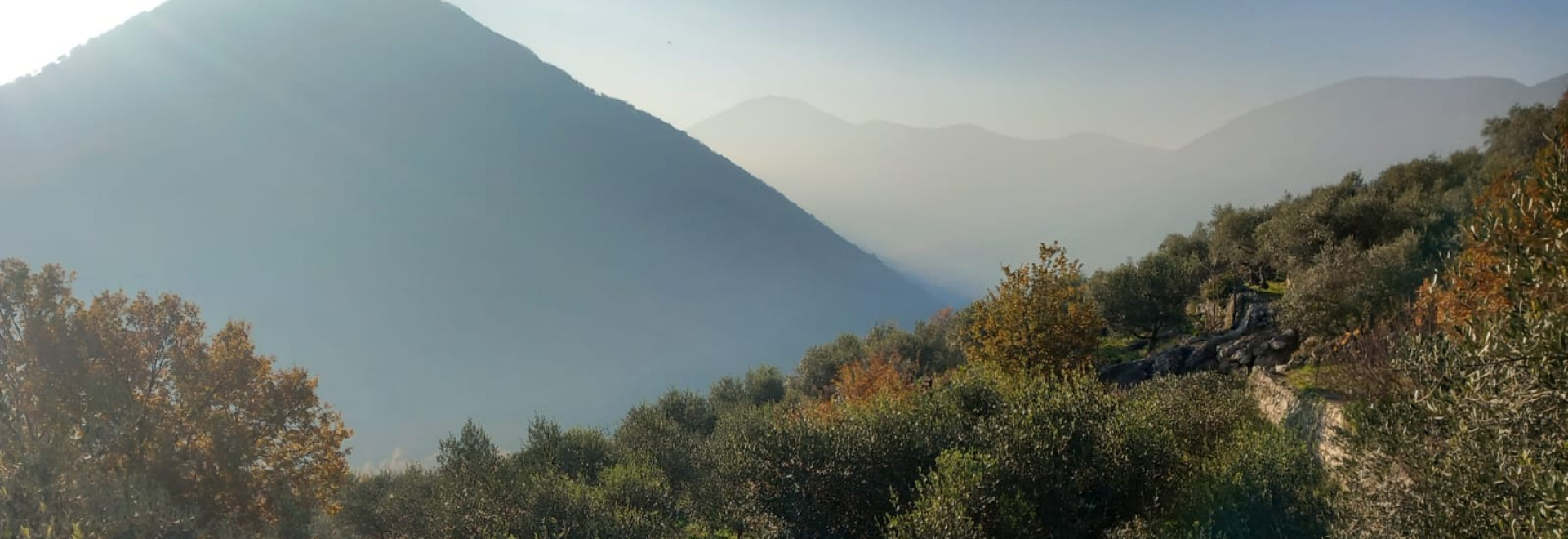 Panorama di Vallecorsa